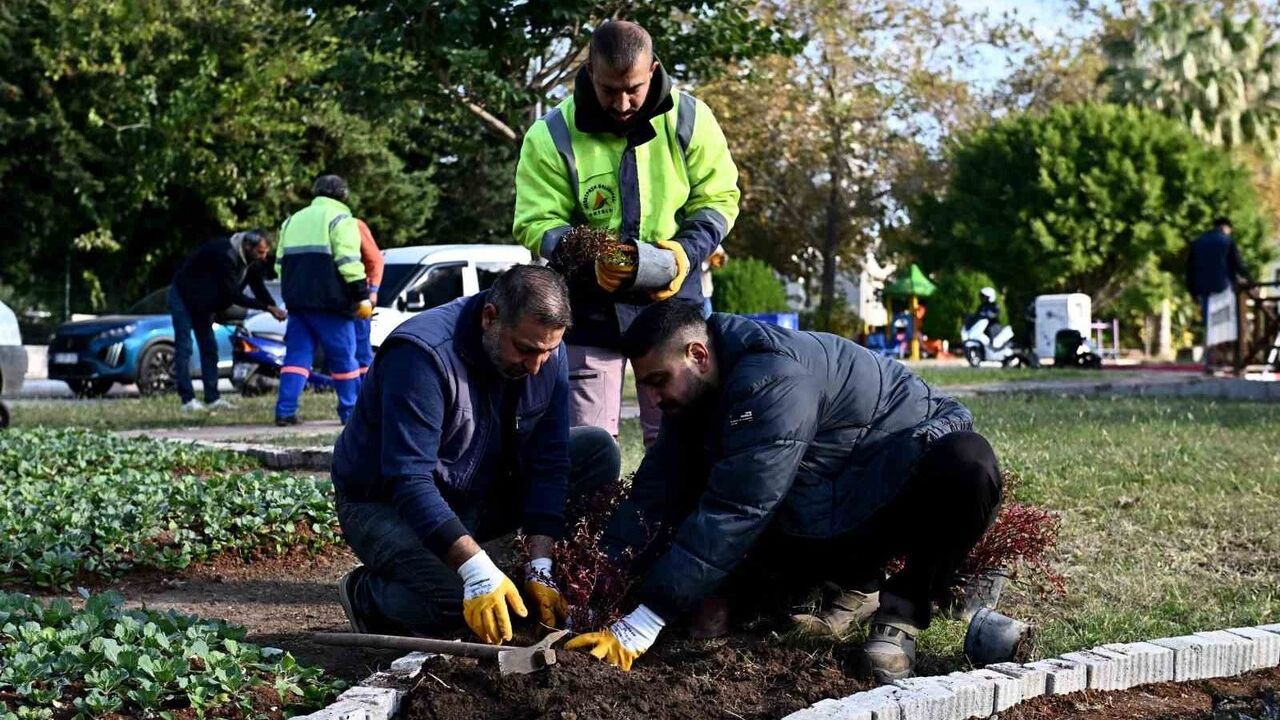 Muratpaşa Trafik Parkı mevsimlik çiçeklerle yenilendi