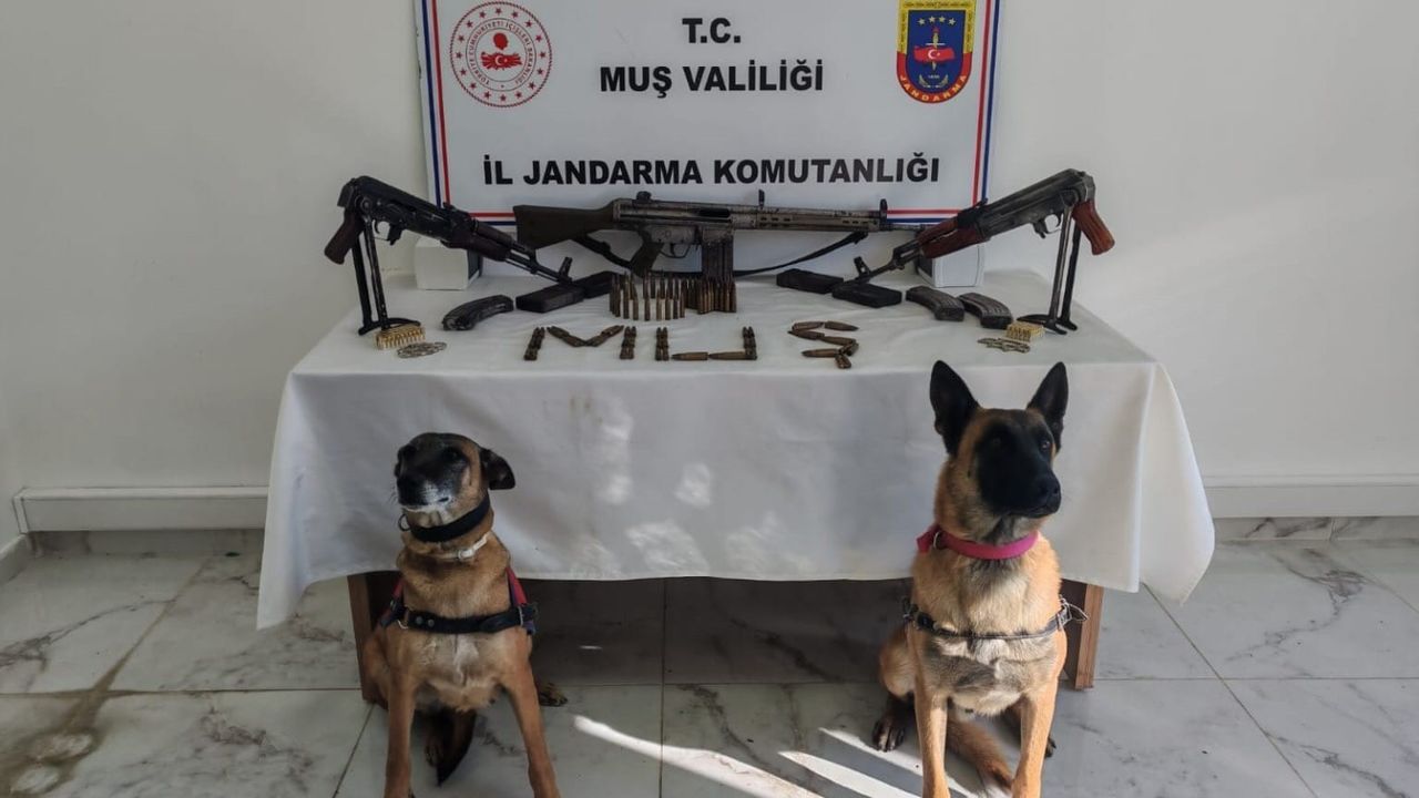 Muş’ta ruhsatsız 3 uzun namlulu silah ve çok sayıda mühimmat ele geçirildi