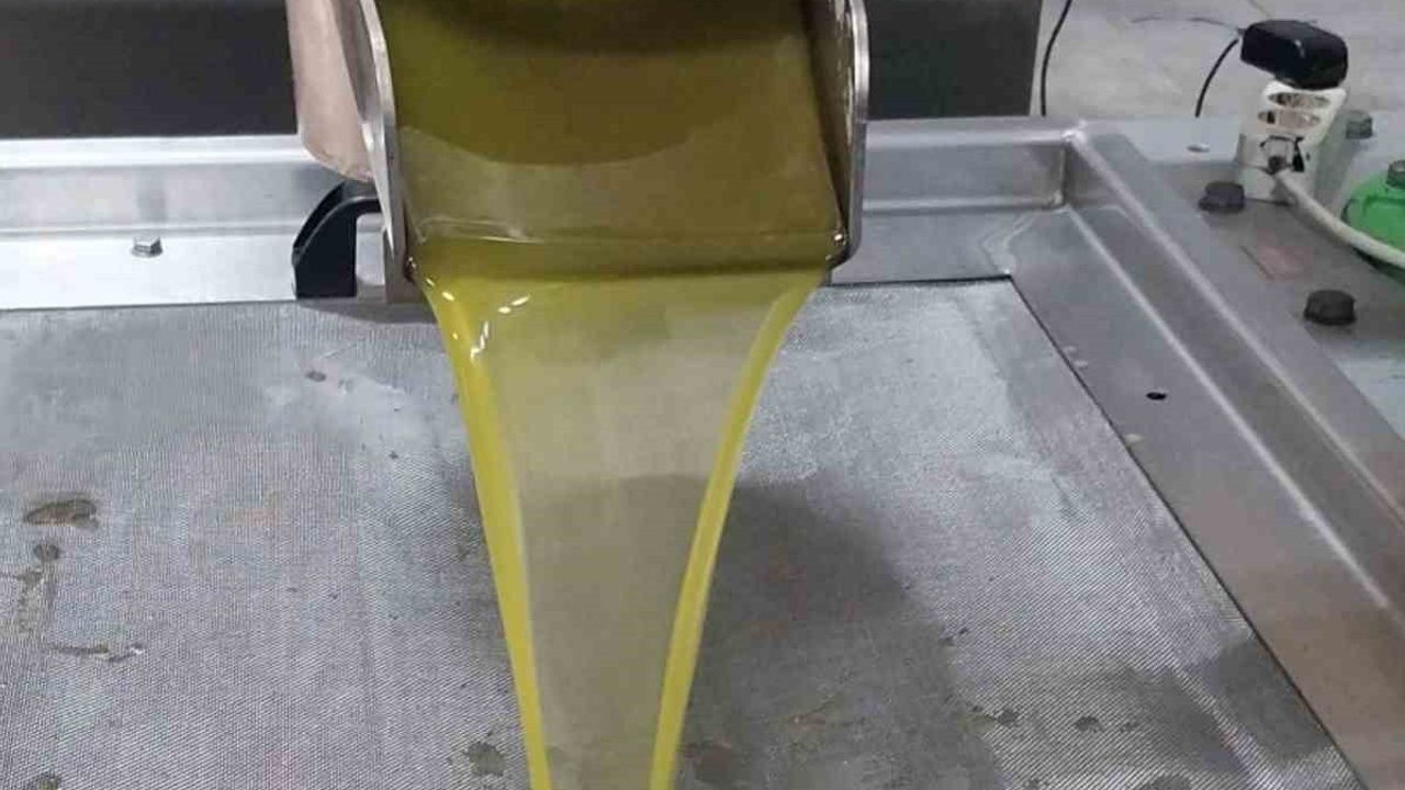 Mut’ta hasat sürüyor: 120 bin ton zeytin, 10 bin ton zeytinyağı rekoltesi bekleniyor