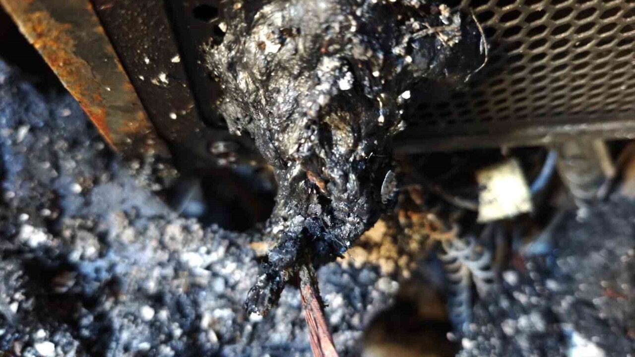 Nazilli'de ev yangını: Bilgisayar kasasındaki arıza sonucu 1 kişi hayatını kaybetti