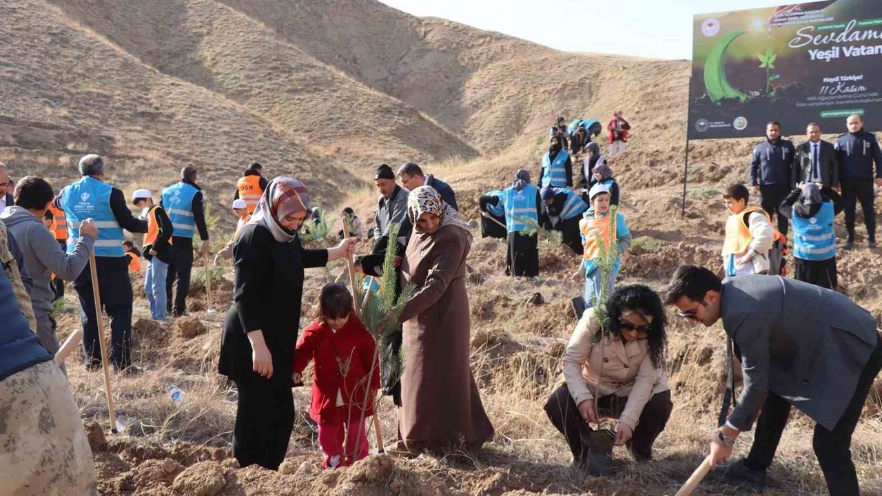 Oltu'da 11 Kasım'da 3 bin fidan toprakla buluştu