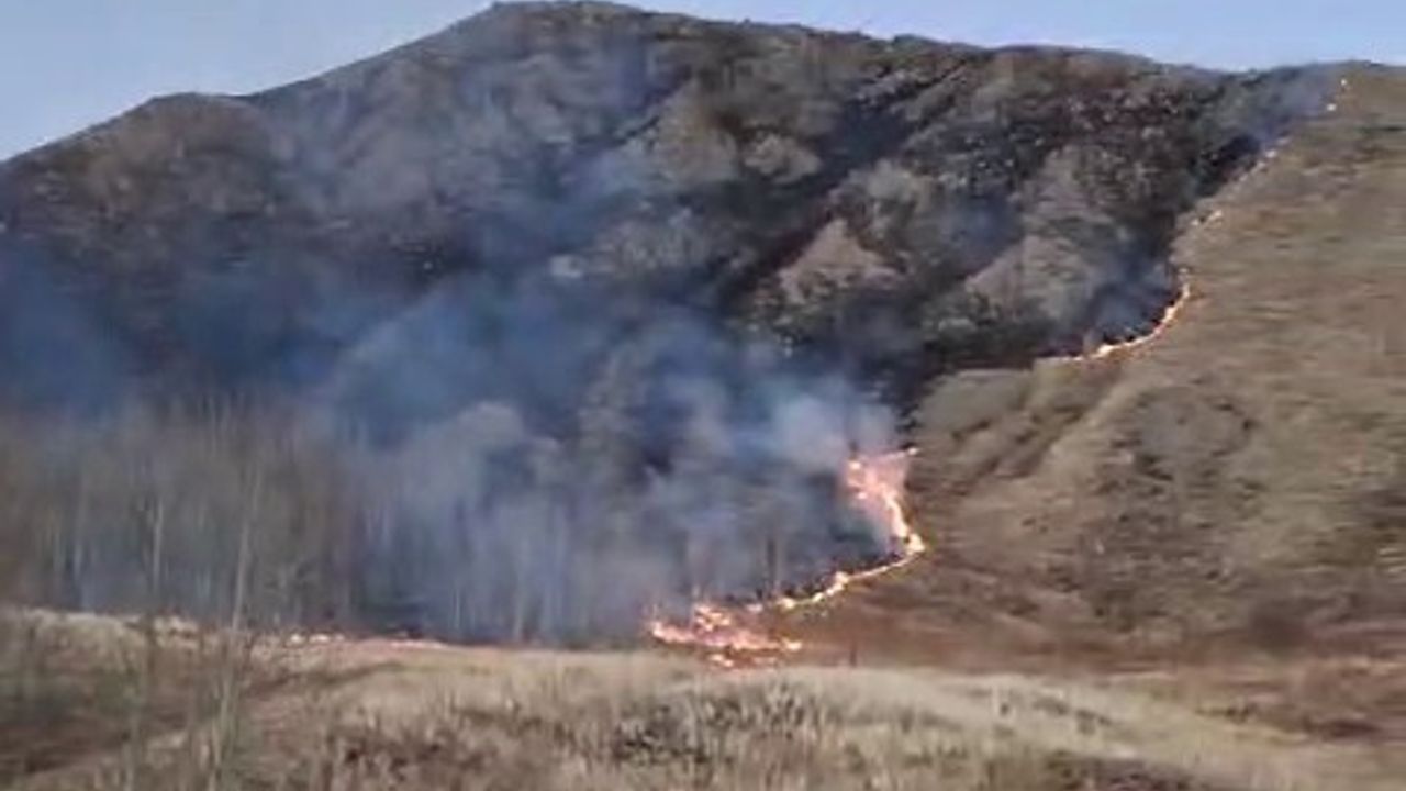 Oltu'da Süleymanlı Mahallesi'nde örtü yangını hızlı müdahaleyle kontrol altına alındı