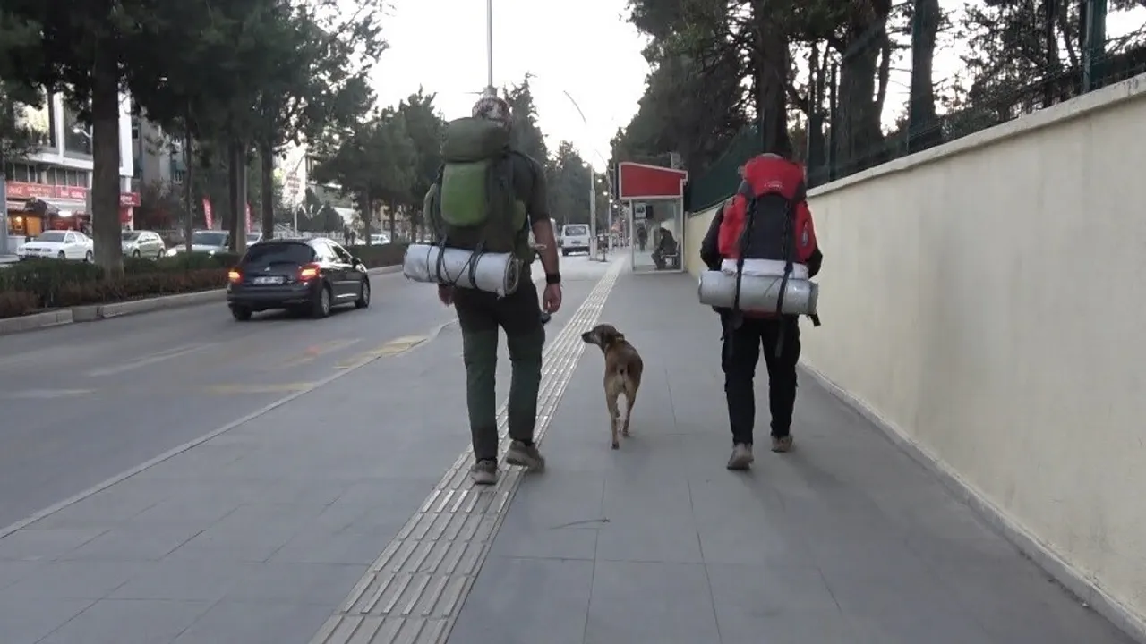 Ömer Özer, '81 il 81 fidan' ile 4 yıldır köpeği Yoldaş ile Türkiye'yi geziyor