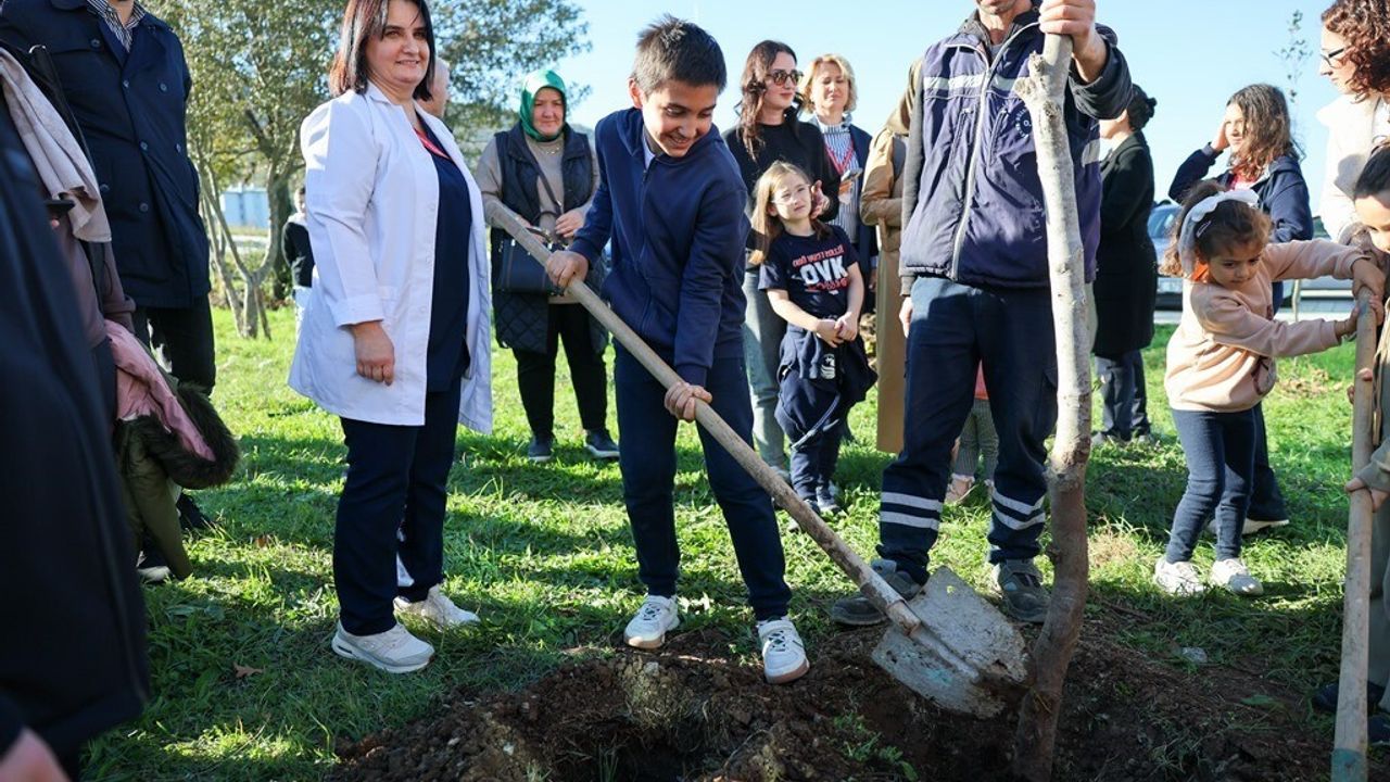 OMÜ’de Diyabet Günü: OMÜ Diyabet Ormanı için fidan dikildi