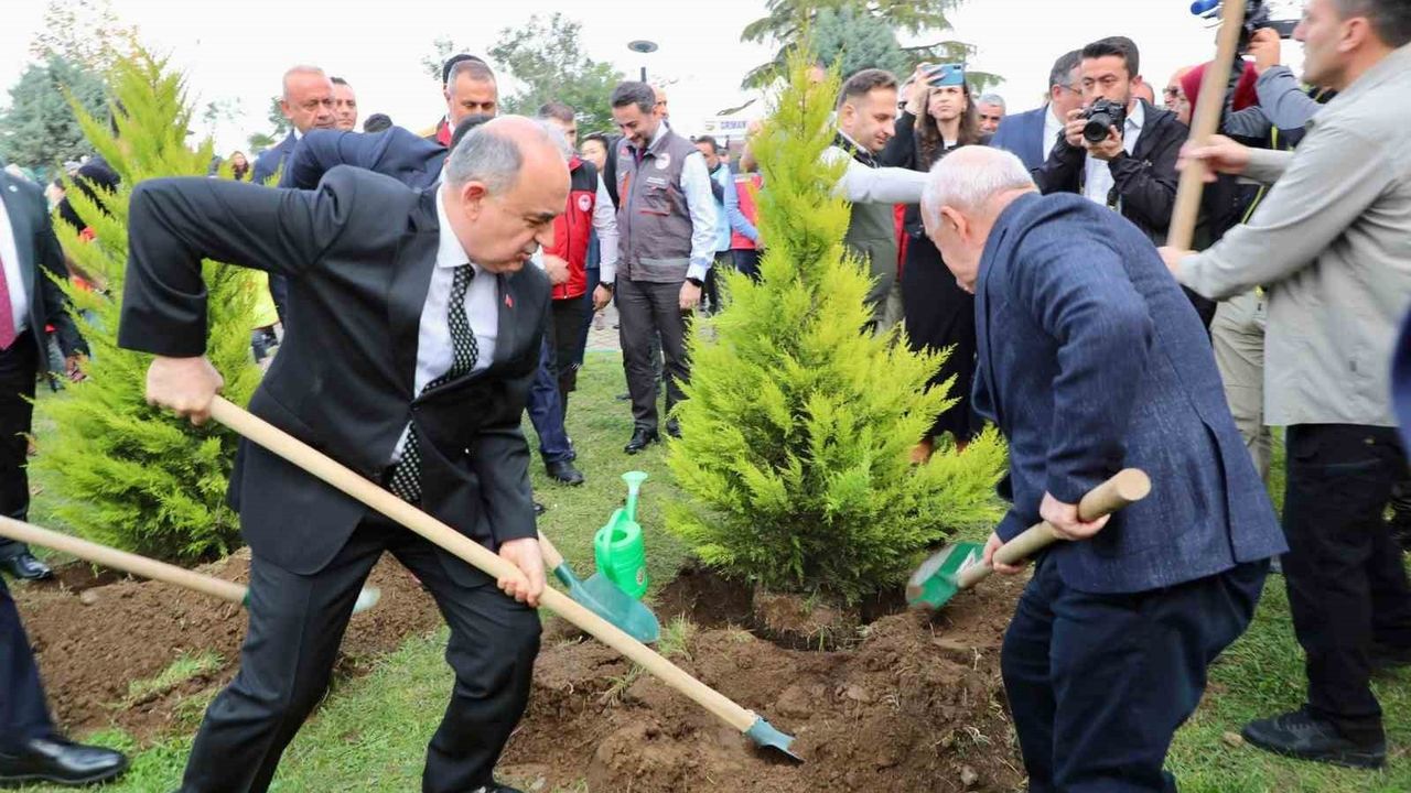 Ordu'da 11 Kasım etkinliği: Perşembe'de 210 fidan dikildi, hedef 350 bin fidan