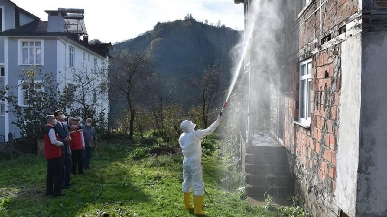 Ordu’da kahverengi kokarca ile mücadelede 330 bin kışlak ilaçlanacak