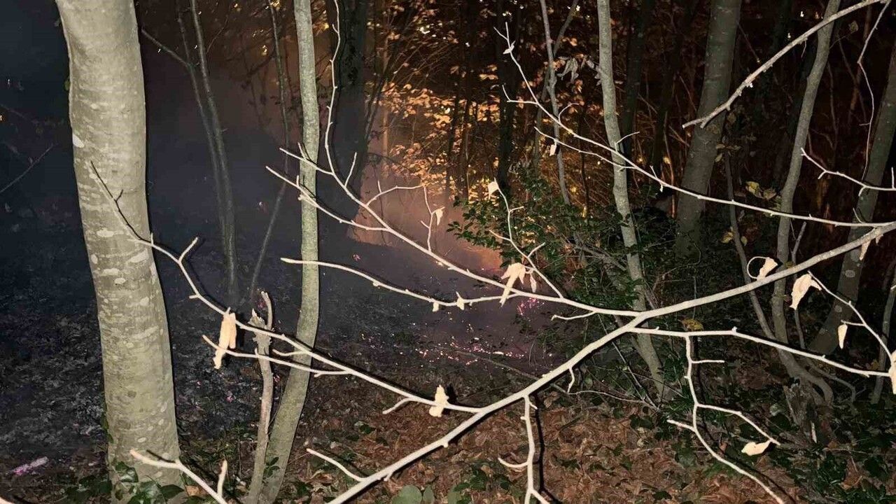 Ordu'nun Kumru ilçesinde orman yangını: Kovancılı Ayvalı Kayabaşı'nda yaklaşık 50 dönüm etkilendi