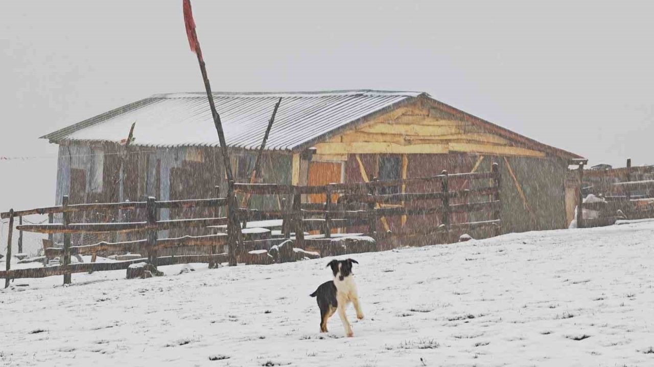 Ordu’nun yüksek kesimlerinde sonbaharın son günlerinde kar yağışı etkili oldu