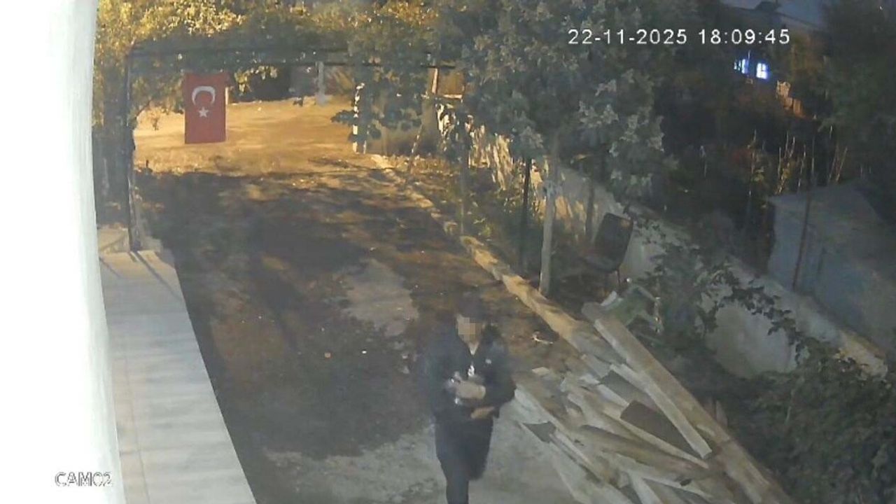 Osmaniye'de kümesten 5 mavi yumurtlayan tavuk çalındı; hırsızın tişörtle kaçışı kamerada