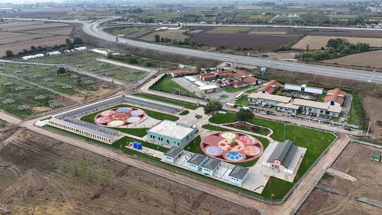 Pati İzi ile 500 sokak hayvanı sahiplendirildi: ‘Güneş’ yeni yuvasına kavuştu