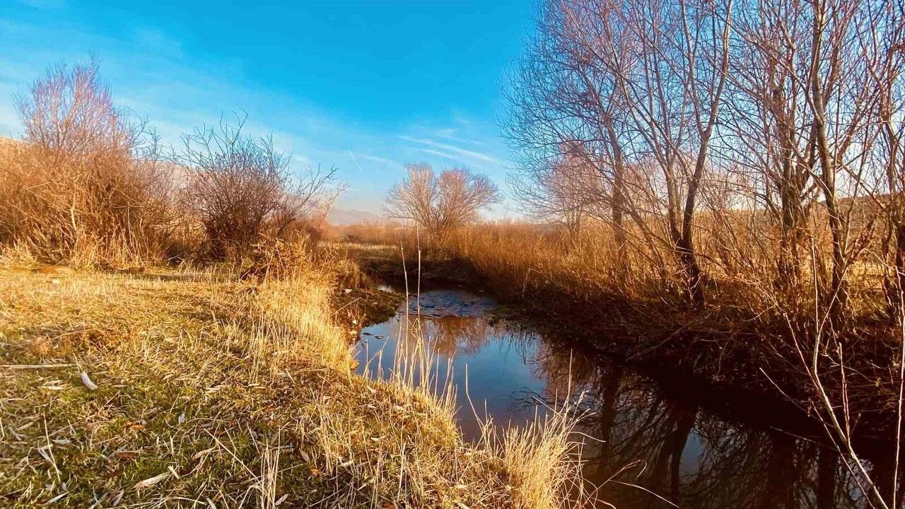 Patnos'ta Sonbahar: Çakırbey ve Aşağı Göçmez'de Kartpostallık Renkler