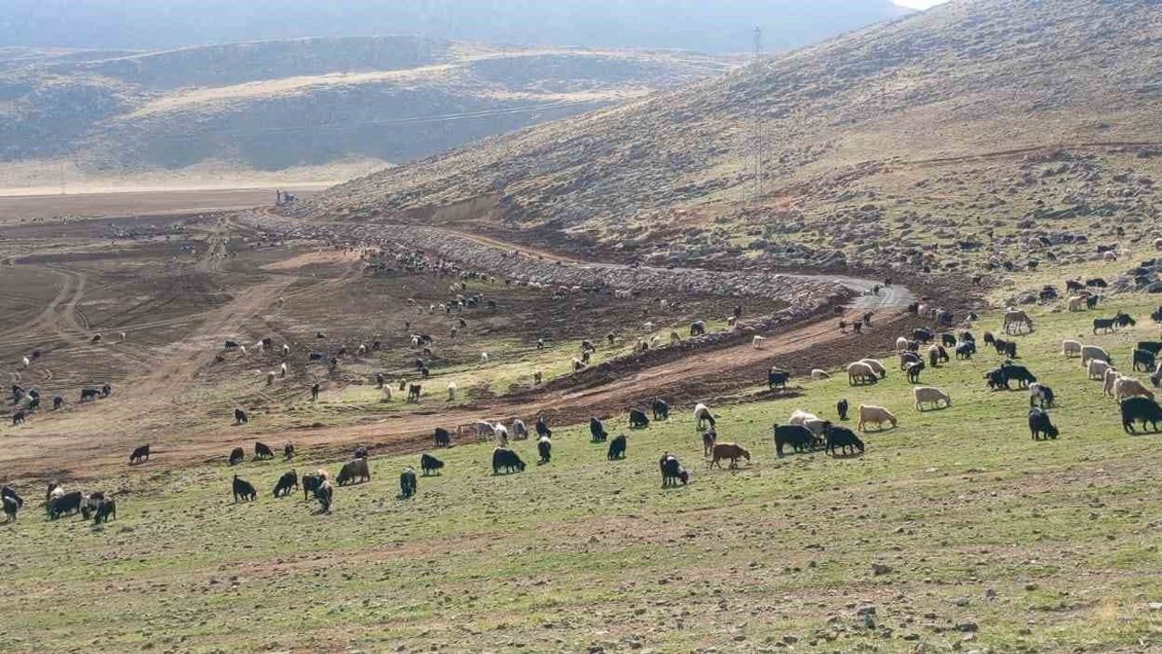 Pervari’de Zirin Gölü taşkın riskine karşı korunuyor