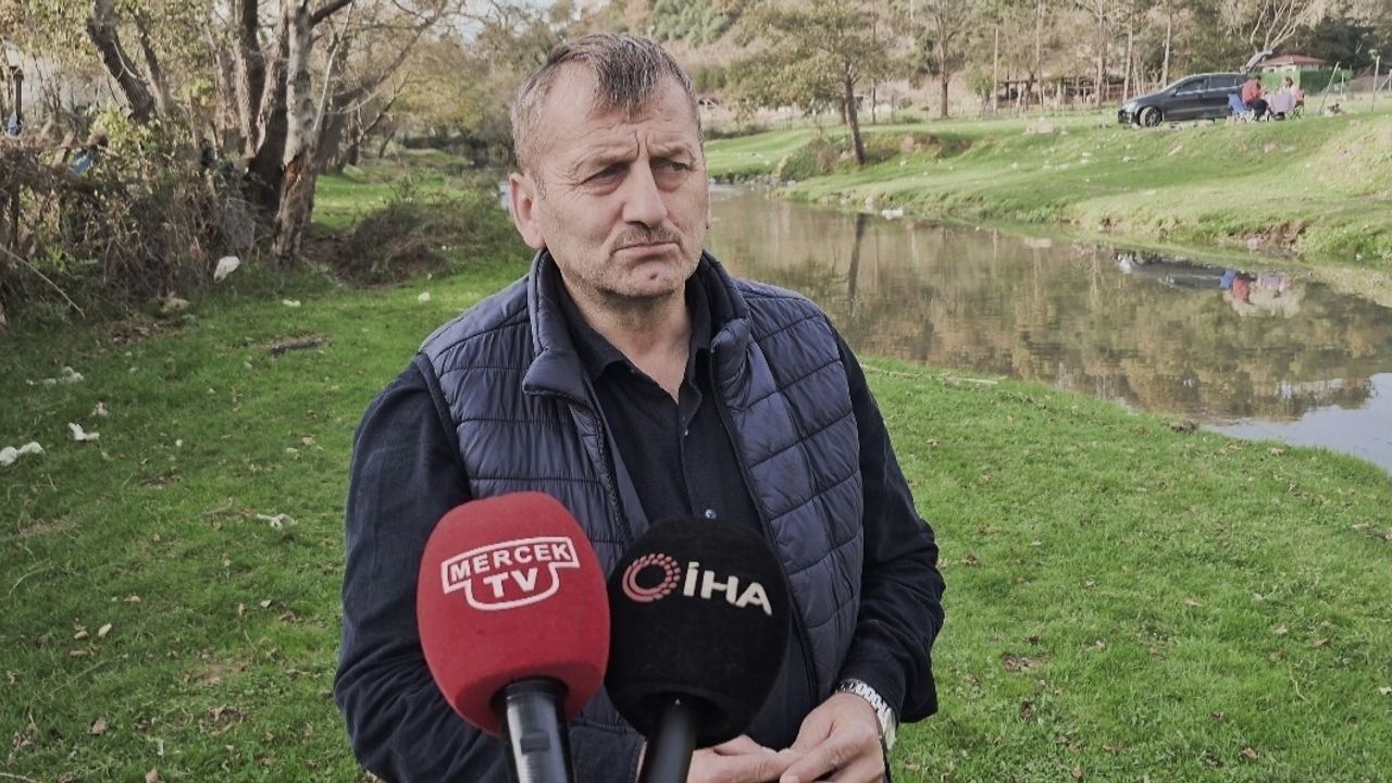 Pirinççi Deresi'nde tekrar toplu balık ölümleri — Alibey Barajı su güvenliği endişesi