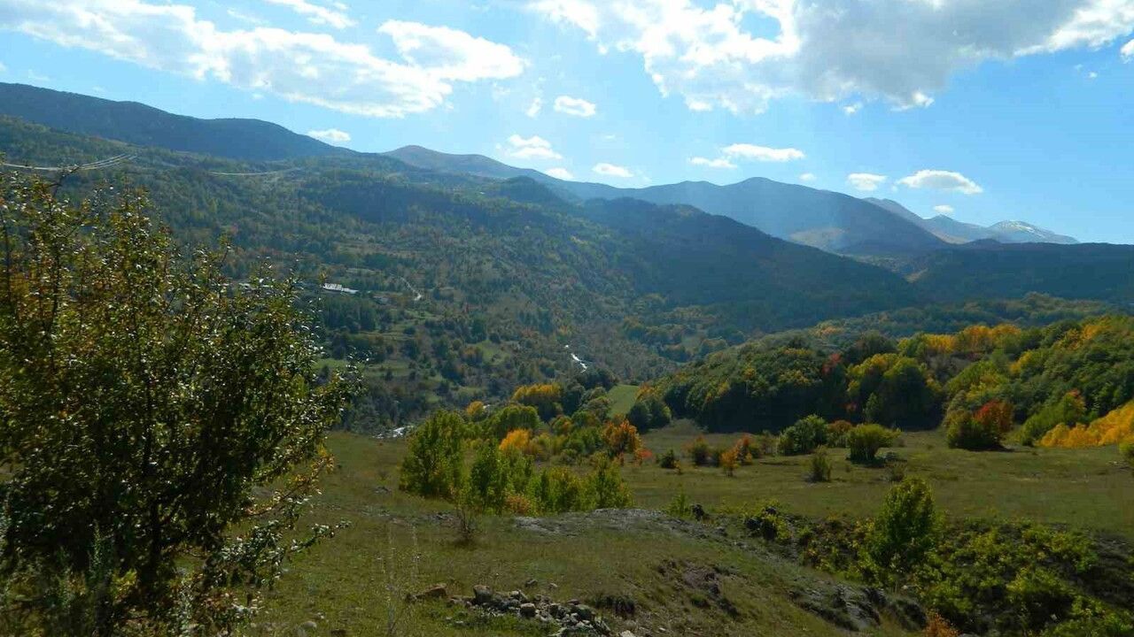 Posof'ta Kasım Sonunda Sonbahar Havası: Karlar Eridi, Yaylalar Yeniden Açıldı
