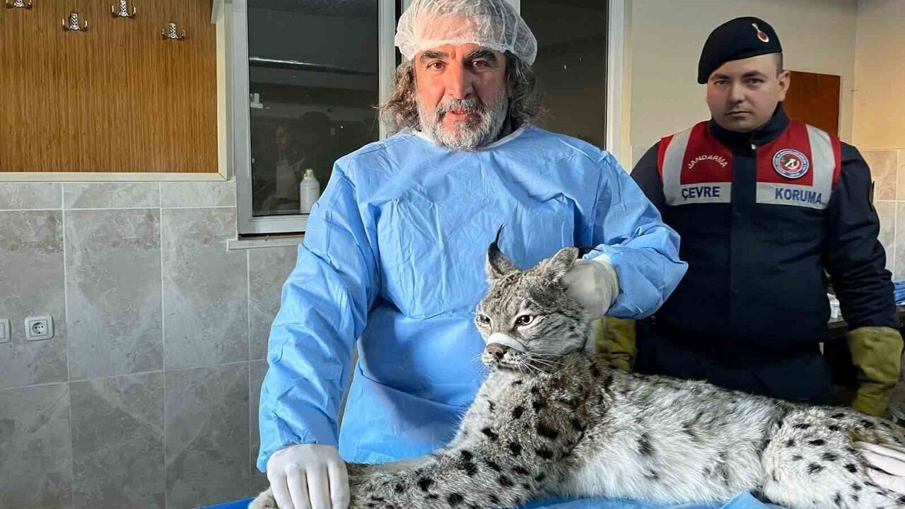 Prof. Dr. Lokman Aslan: İnsan–yaban hayvanı temasları biyogüvenlik açısından ciddi risk taşıyor