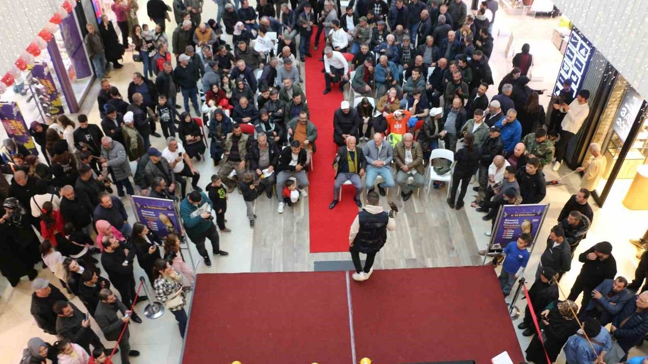 Rize'de 'Atmaca Güzellik Yarışması' düzenlendi: 35 atmaca 4 kategoride yarıştı