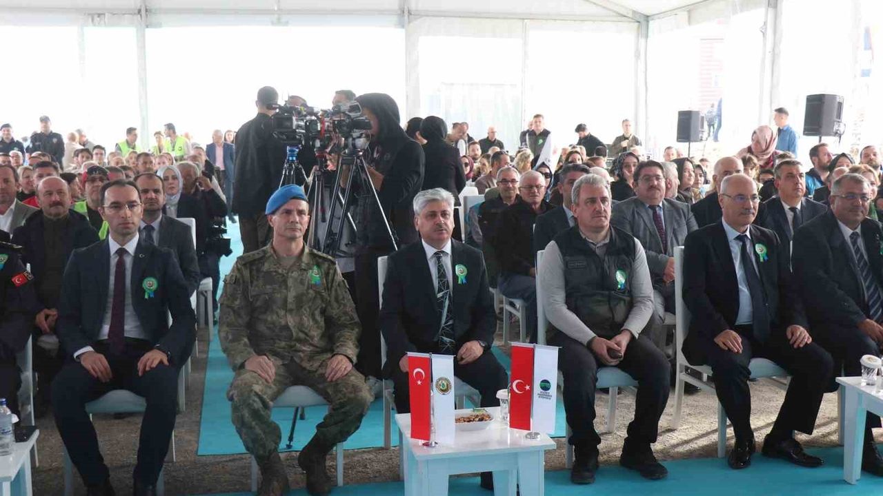 Sakarya'da 11 Kasım'da 4 bin 500 fidan yanan 3 hektarlık alana dikildi