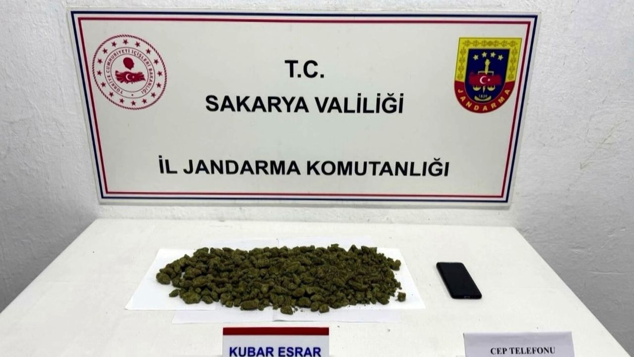 Sakarya'da iklimlendirme sistemiyle kapalı ortamda kenevir yetiştiren şüpheli tutuklandı