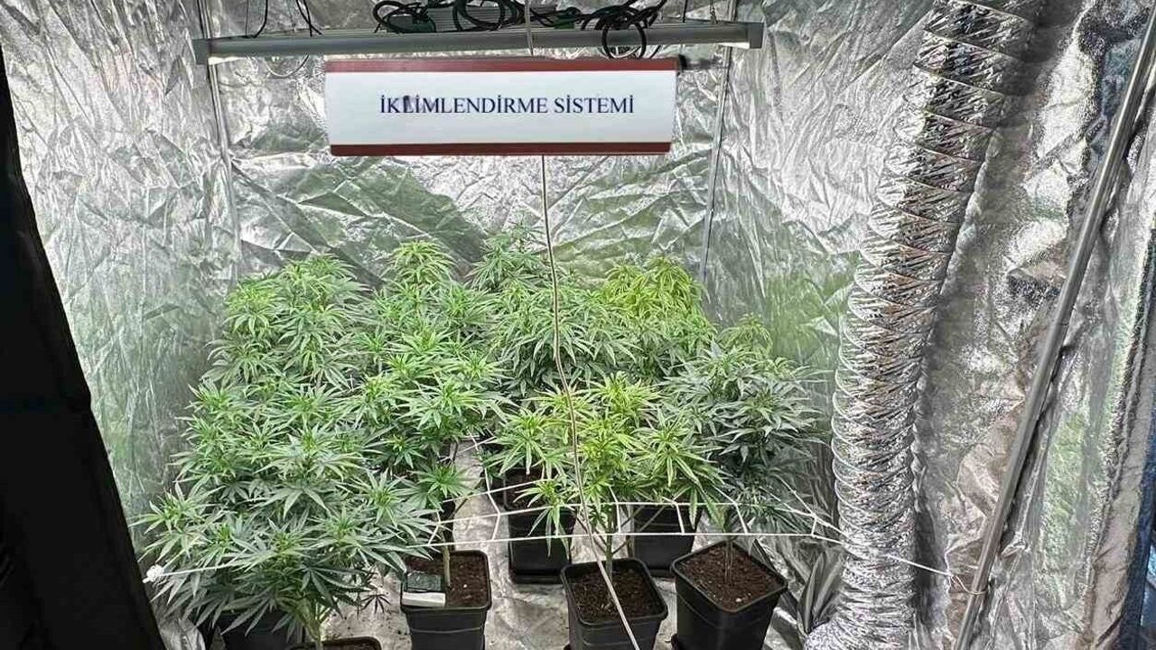 Sakarya'da jandarma operasyonları: Sapanca, Karasu ve Serdivan'da 5 tutuklama