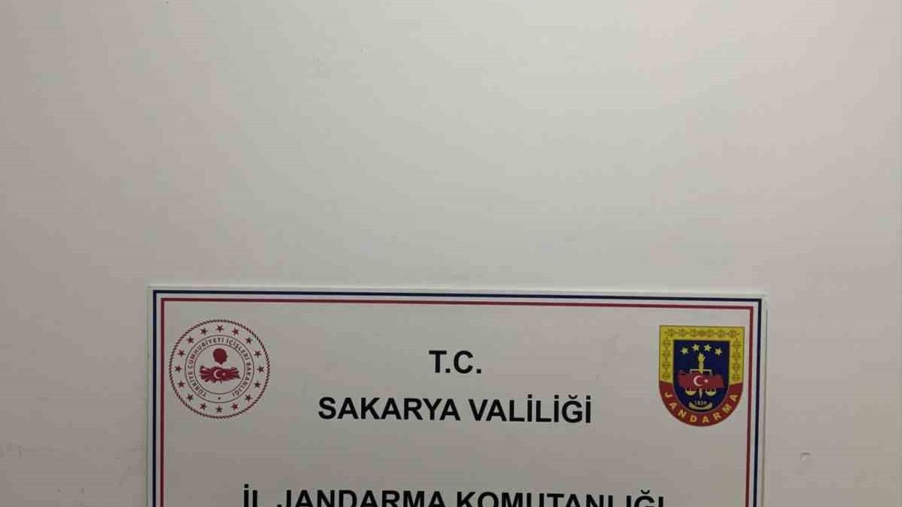 Sakarya'da jandarmanın uyuşturucu operasyonunda 1 tutuklama