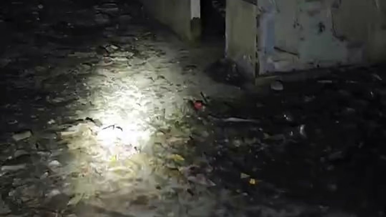 Sakarya'da metruk binalarda uyuşturucu denetimleri devam ediyor