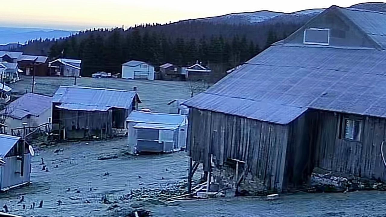 Sakarya’nın yükseklerinde mevsimin ilk karı: Dikmen ve Çiğdem Yaylaları kısmen beyaza büründü