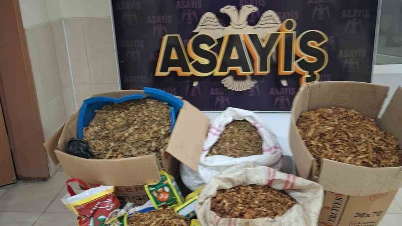 Samandağ’da kaçak tütün operasyonu: Araçta tütün, nargile tütünü ve gümrük kaçağı çay ele geçirildi
