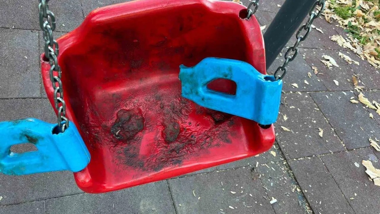 Samsun Canik'te Parklara Zarar: Canik Belediyesi Vatandaşlara Sahip Çıkma Çağrısı