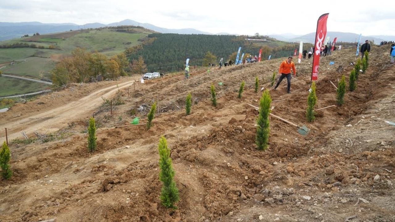 Samsun’da 11 Kasım Milli Ağaçlandırma Günü’nde 19 lokasyonda 37 bin 380 fidan dikilecek