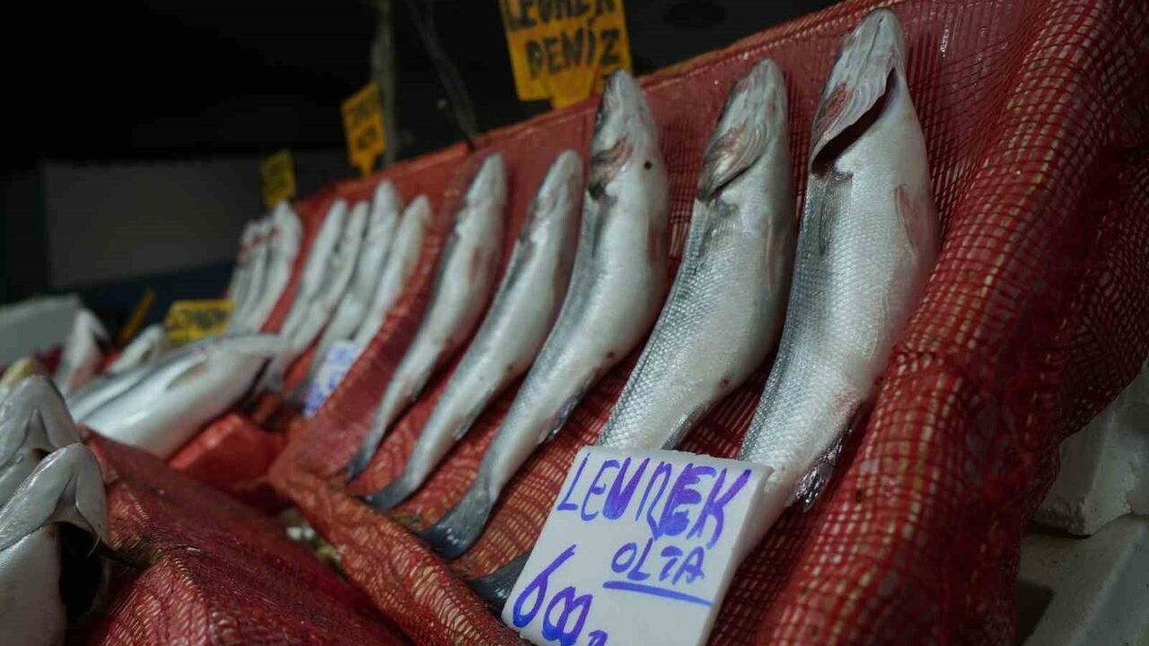 Samsun’da Balık Fiyatları: Balık Hali'nde Hamsi Uygun, Diğer Türler Sezon Ortasında Pahalı