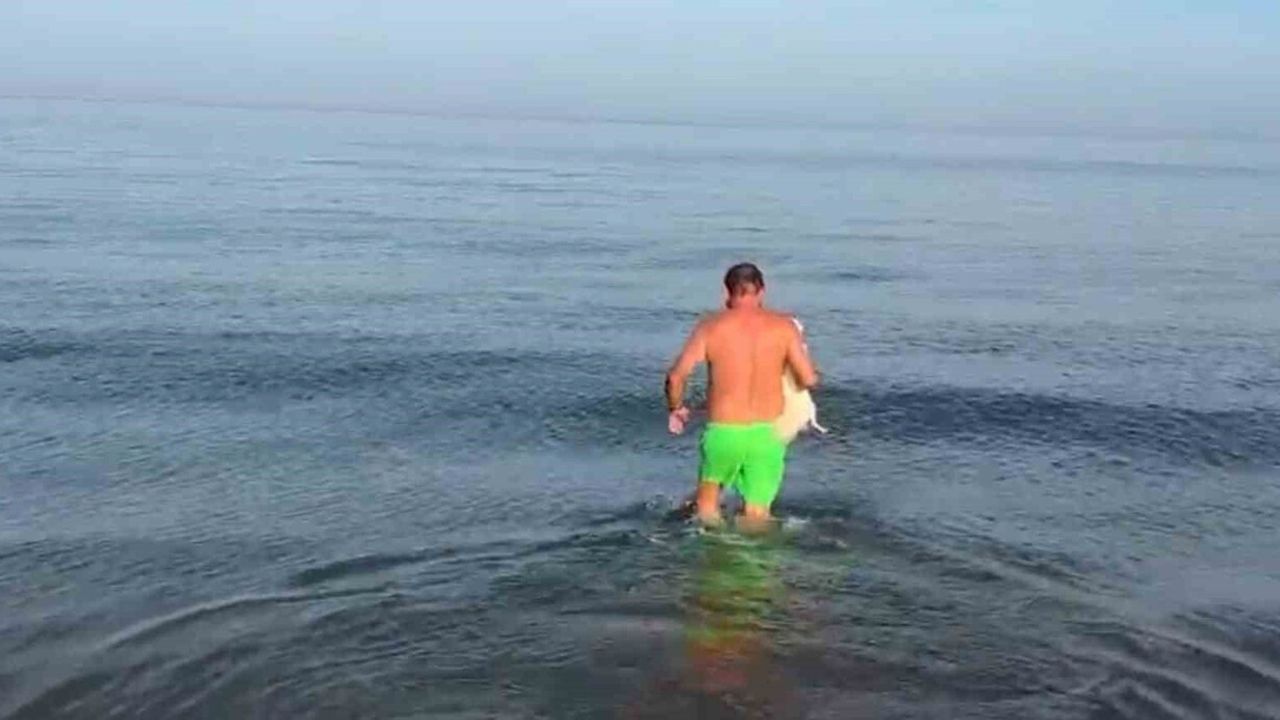 Samsun'da 'pastırma sıcakları' Kasım sonunda vatandaşları Karadeniz'e çekti