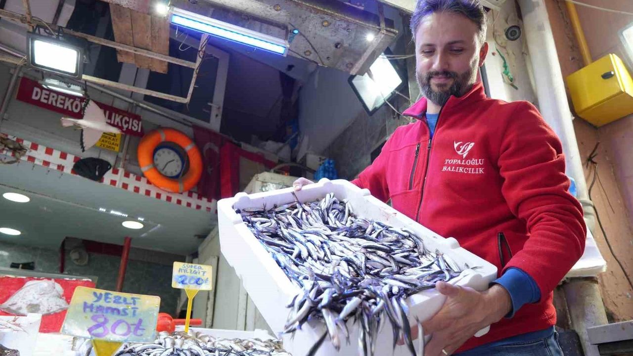 Samsun Tezgahlarında Hamsi Bolluğu: Fiyatlar Düştü, Beklenen Talep Gelmedi