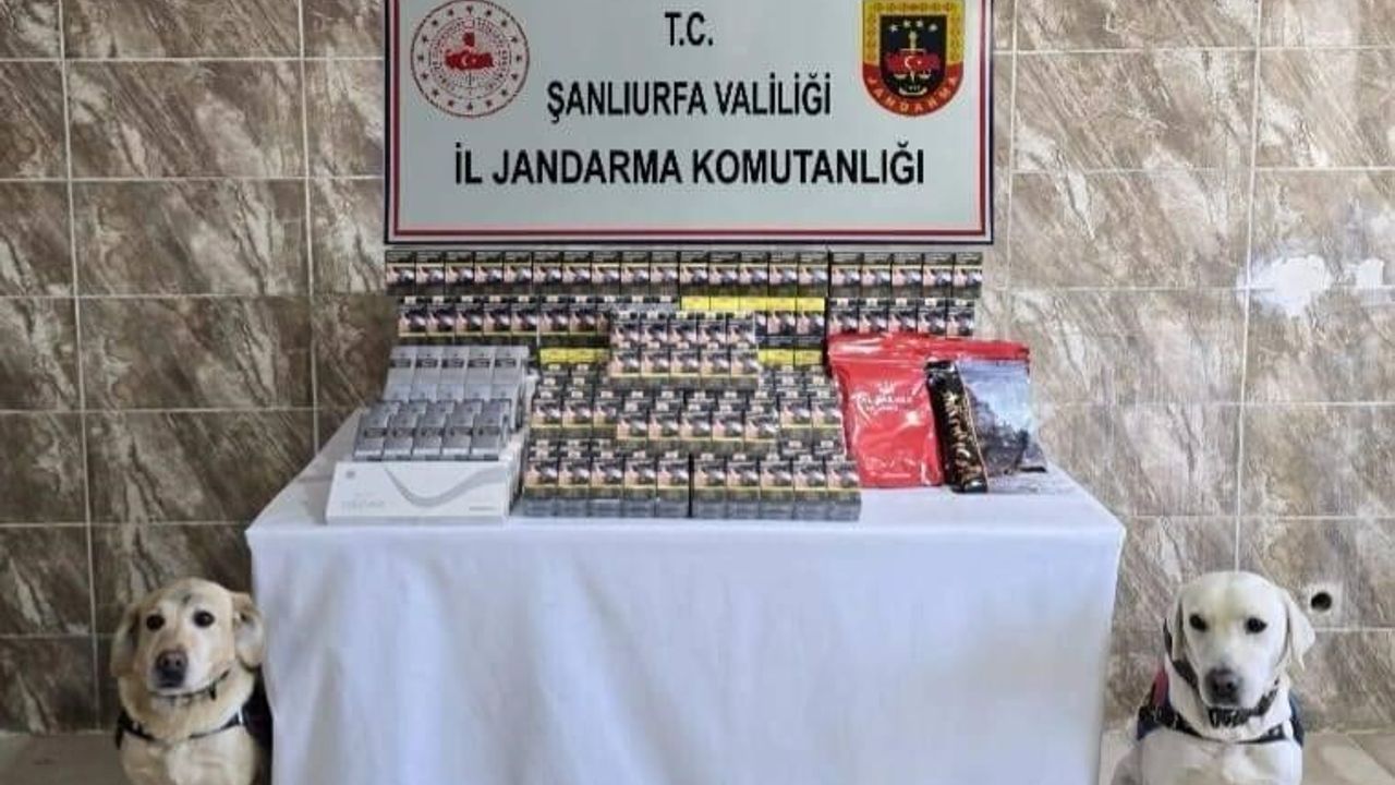 Şanlıurfa’da 5 bin paket gümrük kaçağı sigara ele geçirildi