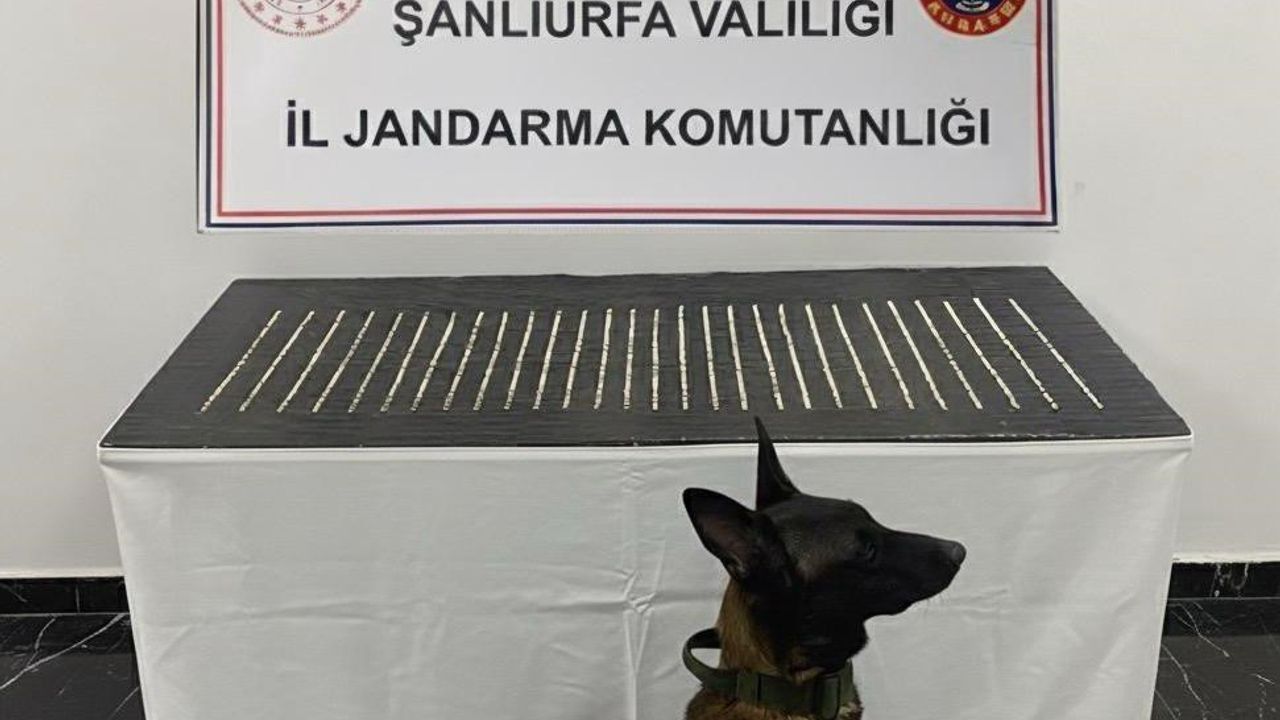 Şanlıurfa'da jandarma uyuşturucu operasyonu: 4 gözaltı