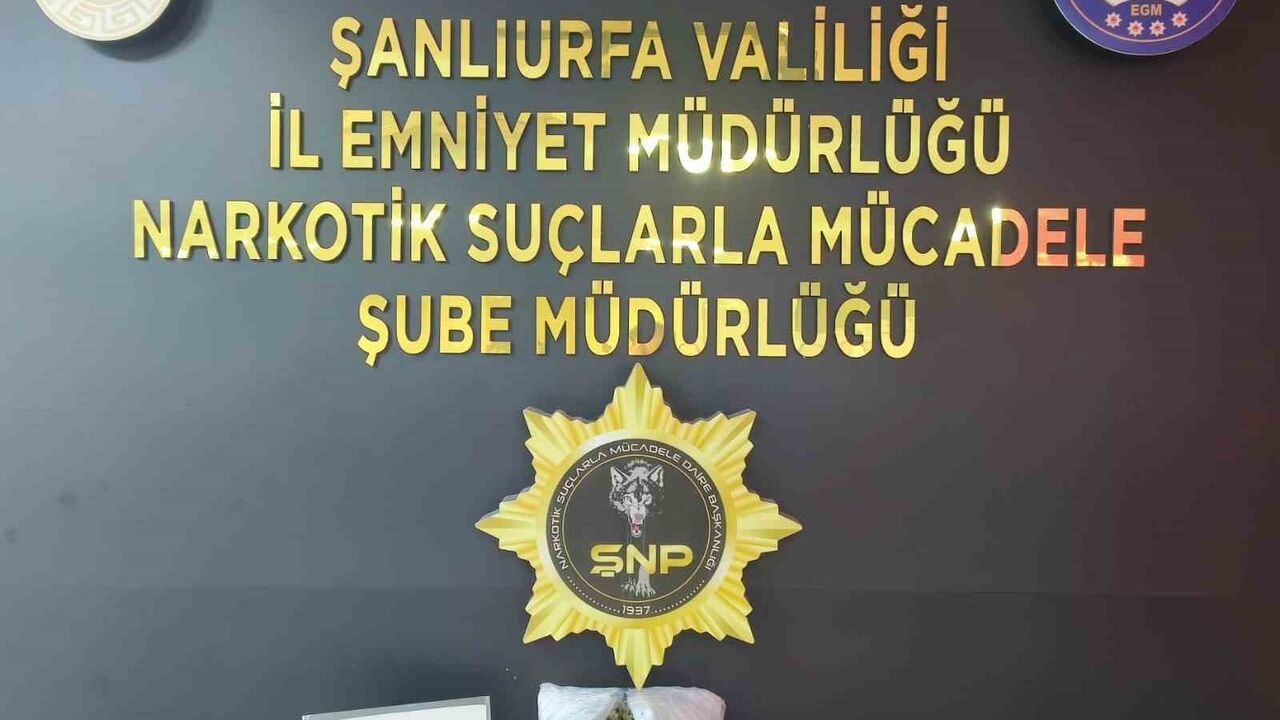 Şanlıurfa'da Narkotik Operasyonu: 1 kilo 200 gram skunk Ele Geçirildi, 1 Kişi Tutuklandı