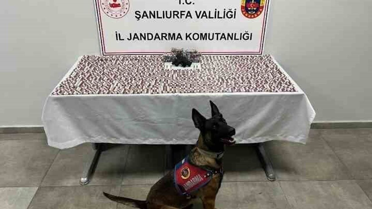 Şanlıurfa Haliliye'de uyuşturucu operasyonu: 2 gözaltı, 2.772 hap ve ruhsatsız silah ele geçirildi