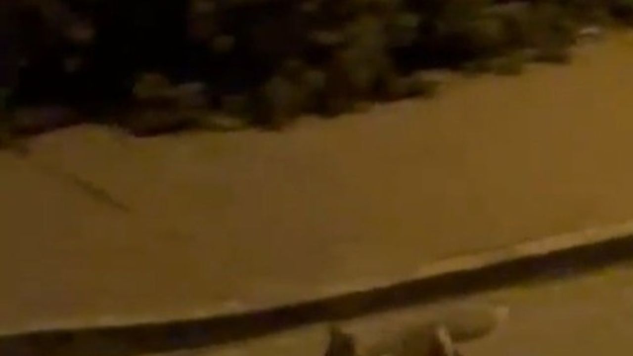 Şanlıurfa Karaköprü'de Tilki Şehir Merkezine İndi: Atakent Mahallesi'nde Görüntülendi