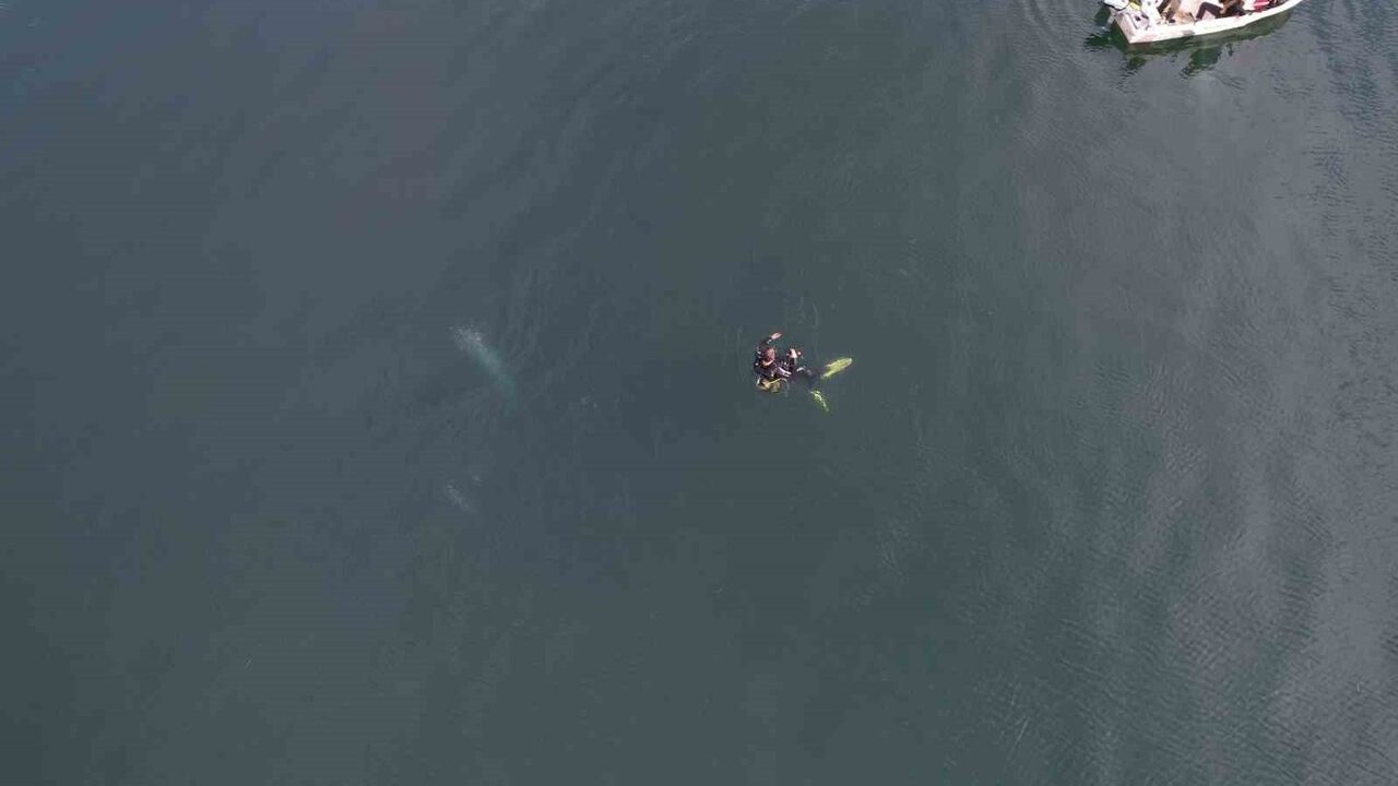 Sapanca Gölü'ndeki kabarcıklar su altı ve havadan görüntülendi: Uzman değerlendirmesi