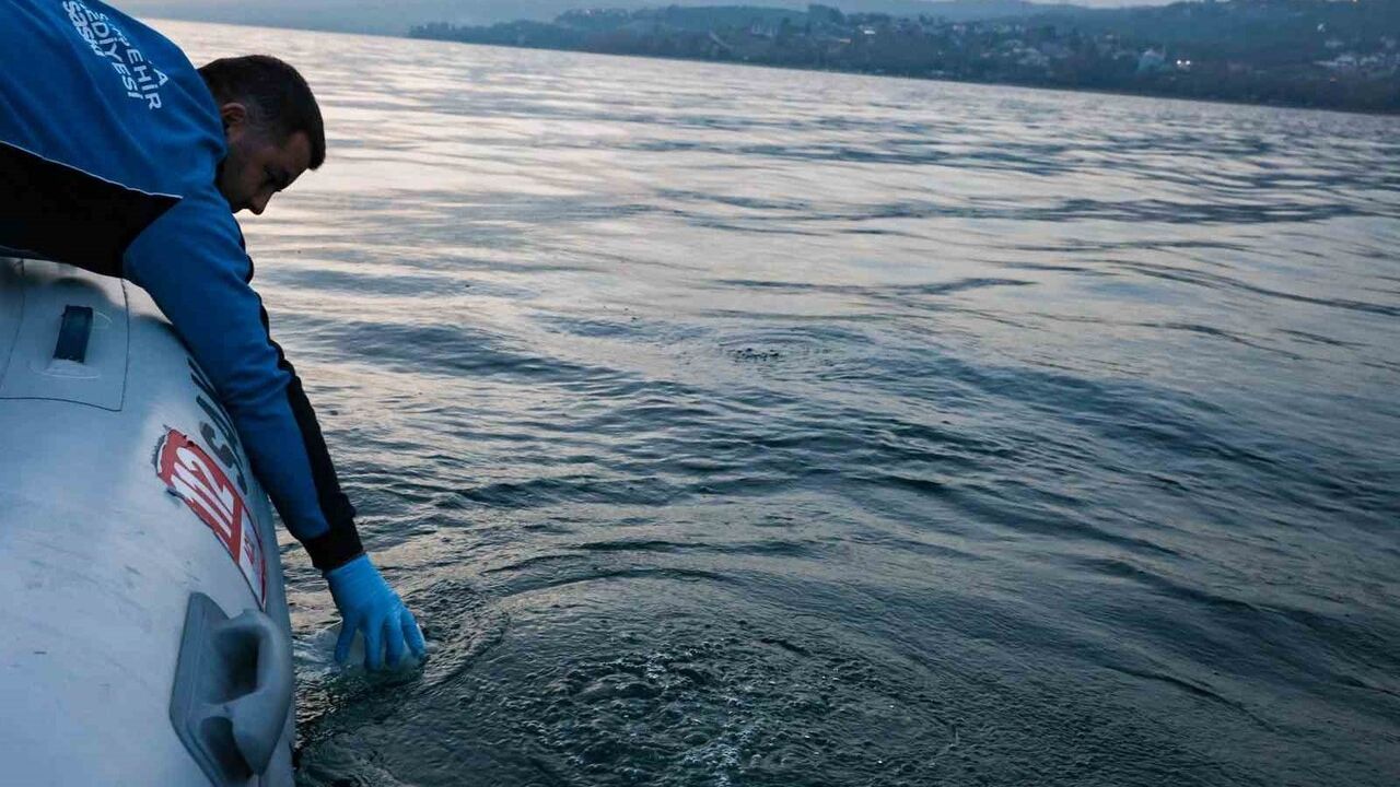 Sapanca Gölü'ndeki kabarcıkların nedeni: Yeraltından doğal hava çıkışı, su kalitesinde olumsuzluk yok