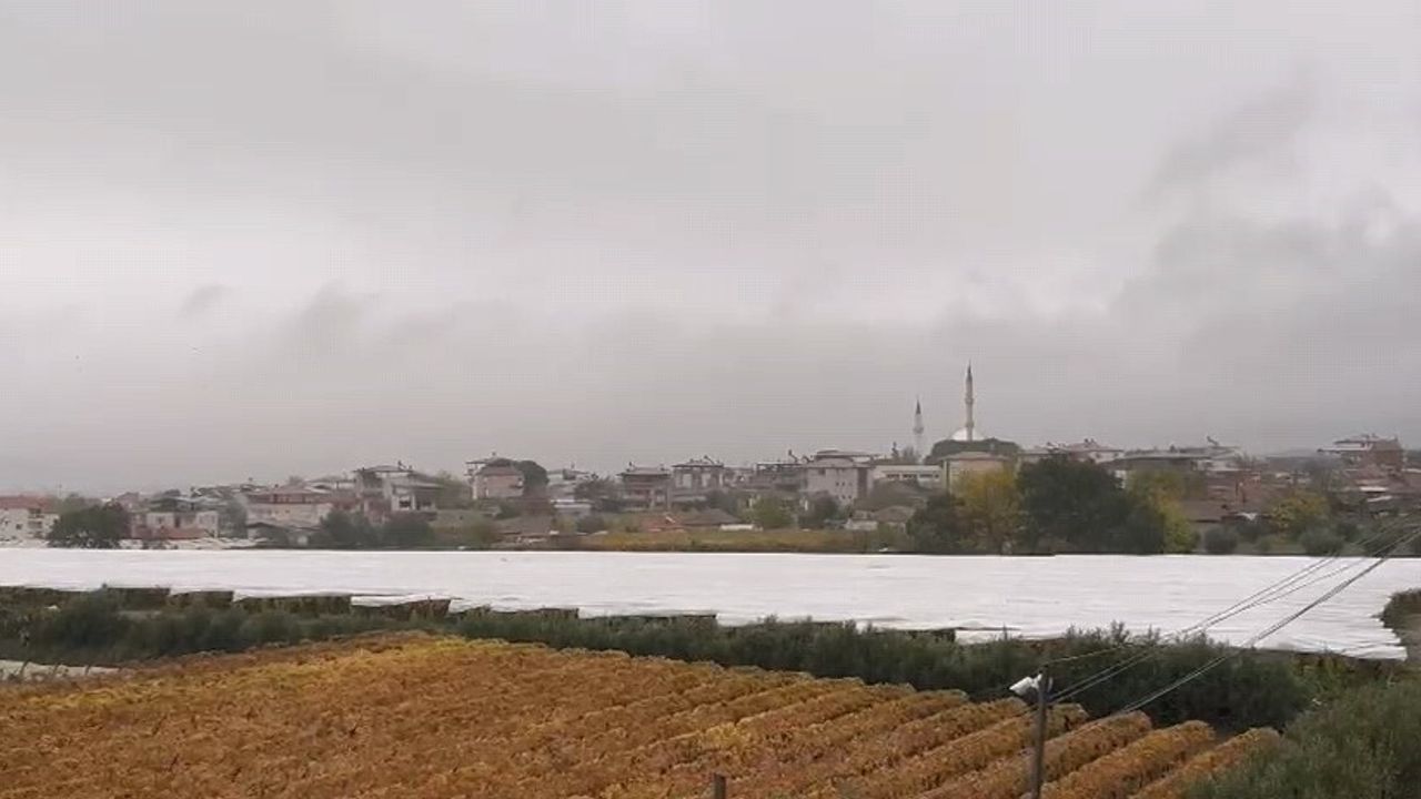 Sarıgöl’de Özlenen Yağışlar Üzüm Bağlarına Can Suyu Oldu