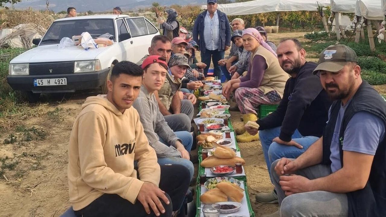 Sarıgöl'de üzüm alıcısından işçilere sezonluk yemek ve mevlit geleneği