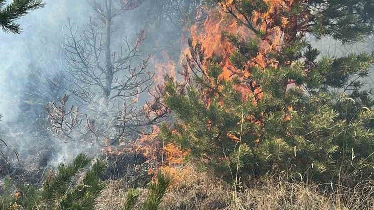Sarıkamış'ta Hamamlı ve Bozat bölgelerinde örtü yangını — ekipler müdahale ediyor