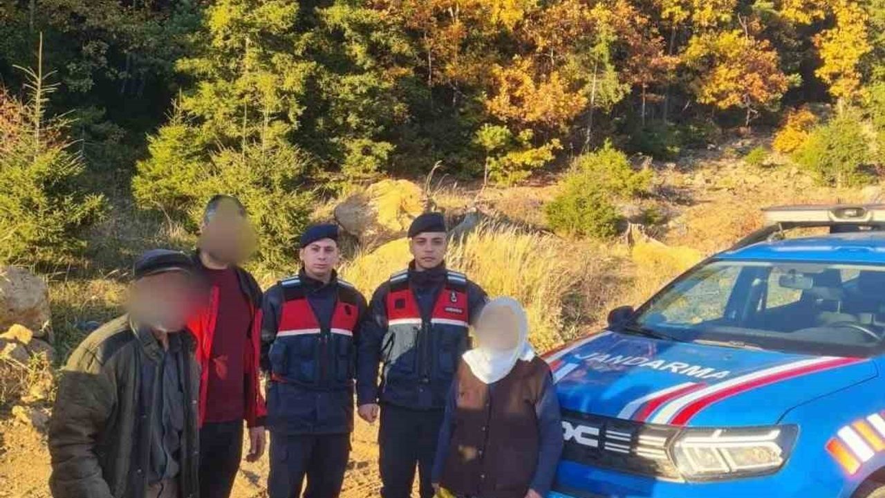 Şavşat’ta ormanda kaybolan 85 yaşındaki kadın jandarma ve drone ile sağ bulundu