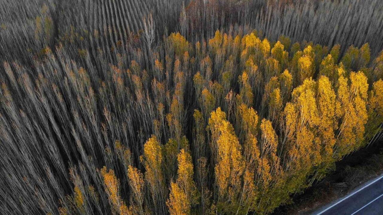 Savur'da sonbahar renkleri: Doğal kaynaklar ve serin hava ziyaretçileri cezbediyor
