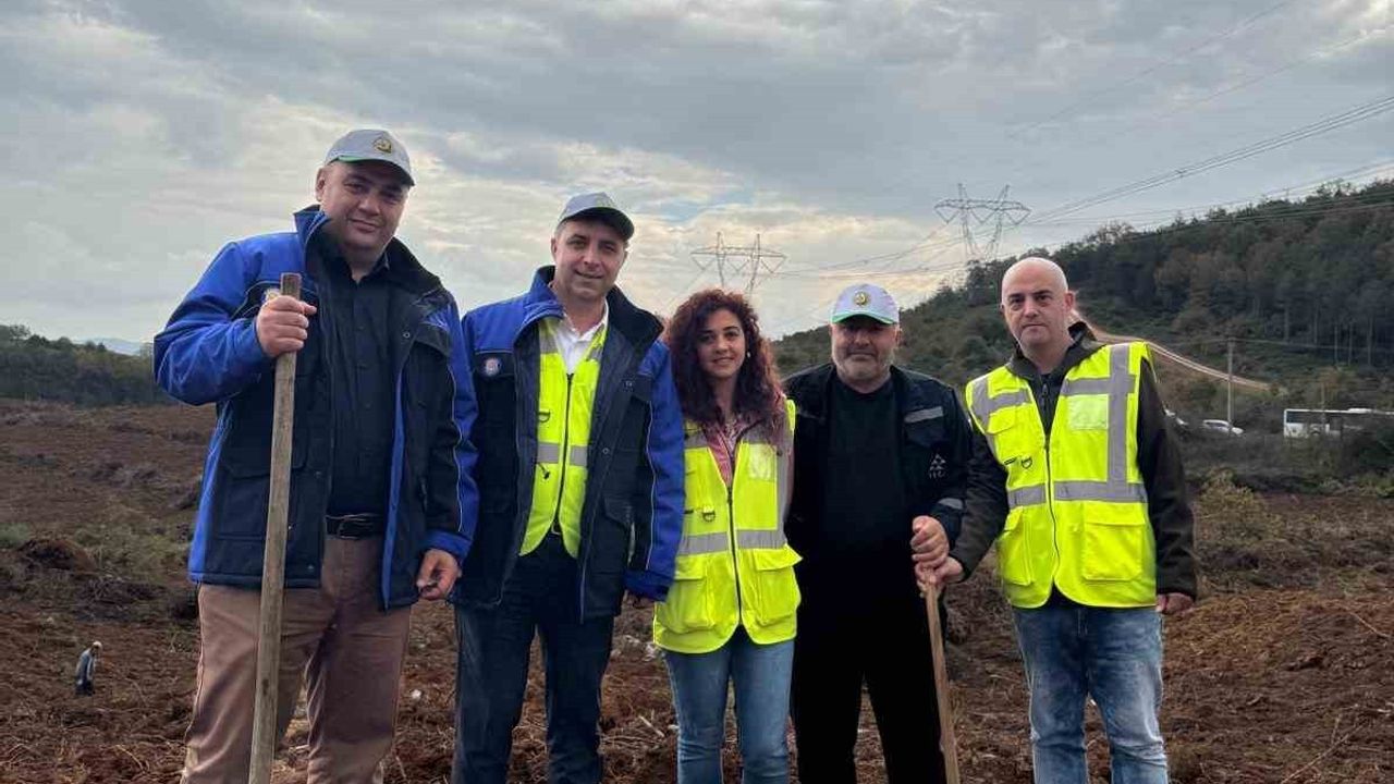 SEDAŞ, Milli Ağaçlandırma Günü'nde 4 ilde 500 fidan dikti