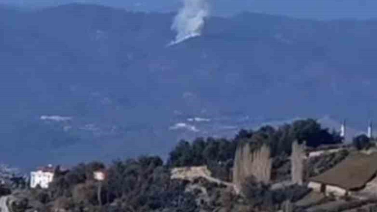 Seydikemer'de orman yangını — Çaltıözü Mahallesi'nde saat 14.00'te başladı