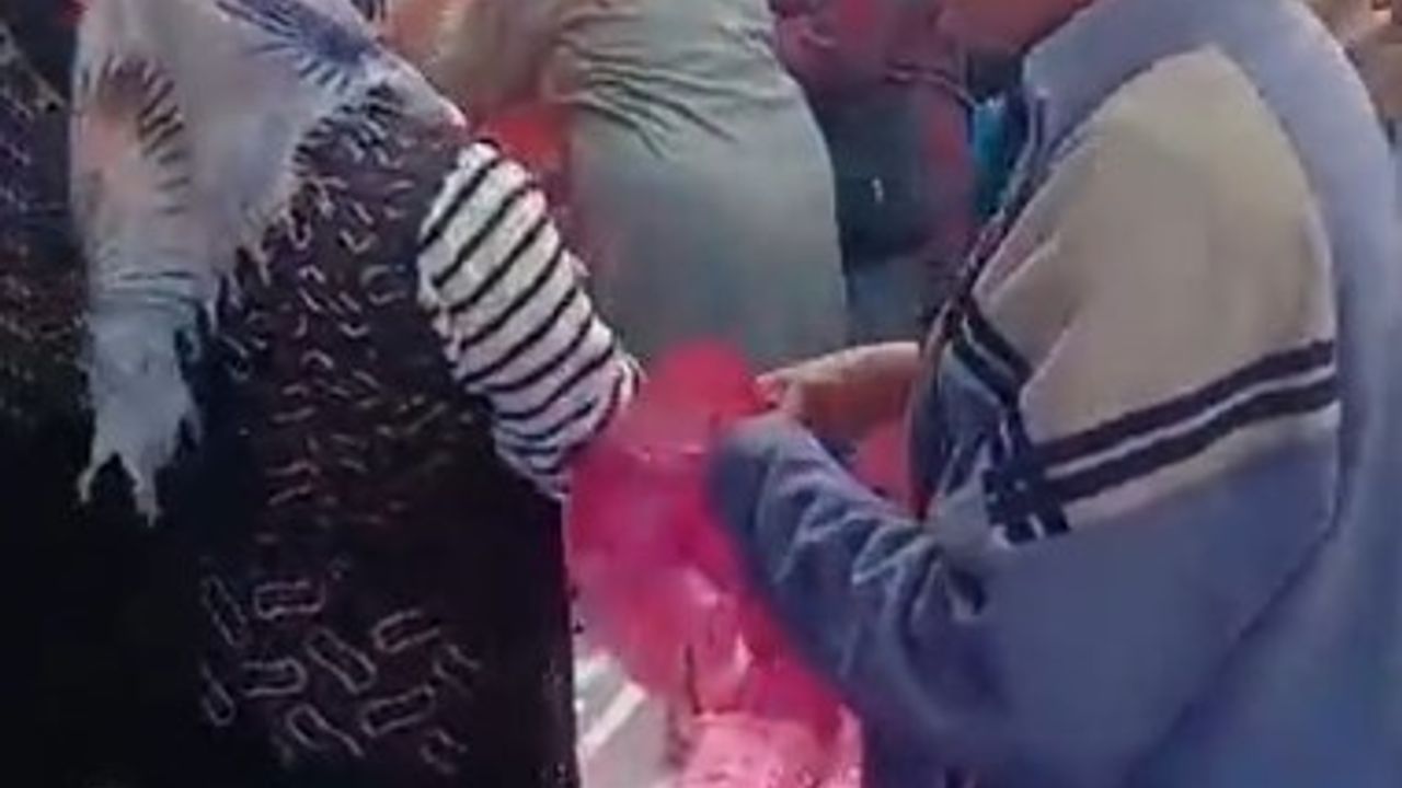 Seyitgazi'de Ücretsiz Hamsi Dağıtımı Yoğun İlgi Topladı