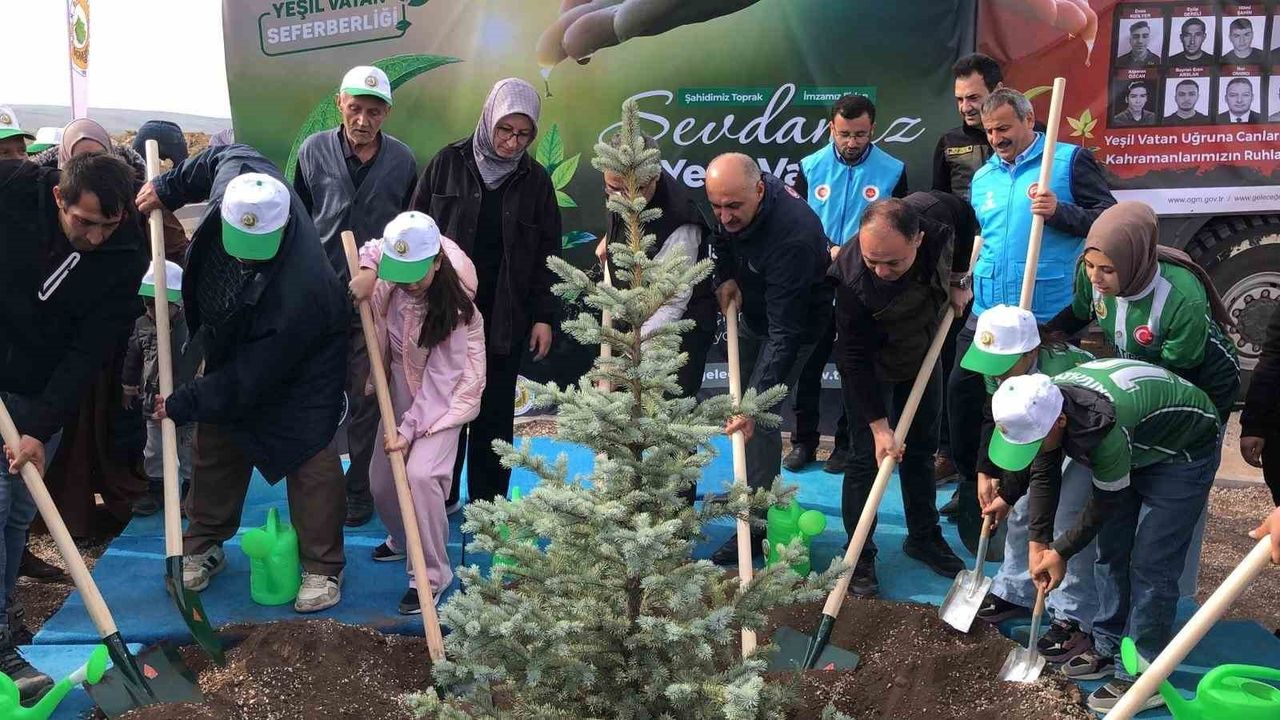 Seyitgazi yangınında şehit düşen Eyüp Dereli anısına 15 bin fidan dikildi