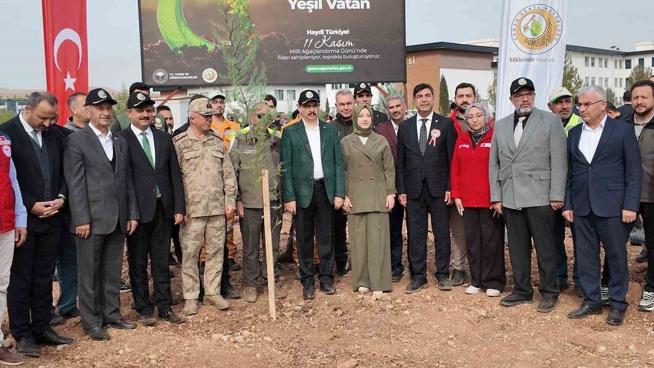 Siirt'te 11 Kasım Milli Ağaçlandırma Günü'nde 7 Lokasyonda Binlerce Fidan Toprakla Buluştu