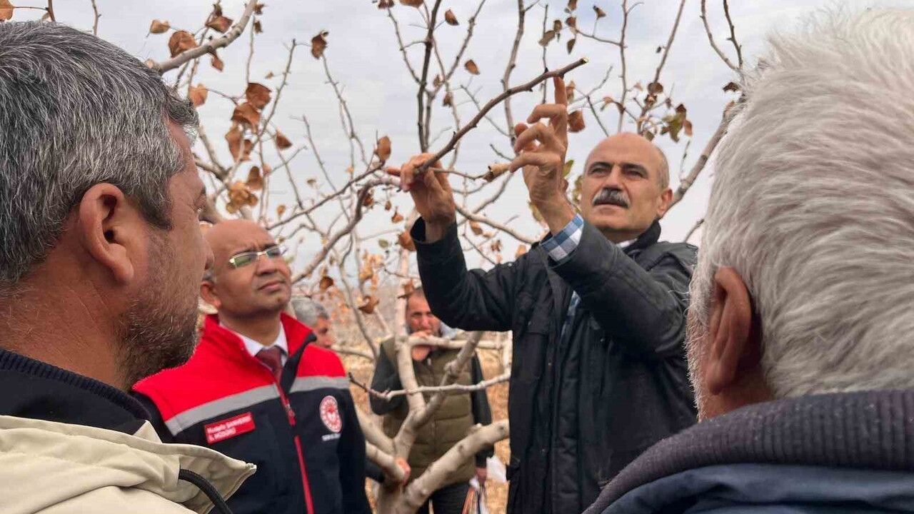 Siirt’te fıstık üreticilerine teorik ve uygulamalı budama ve gübreleme eğitimi